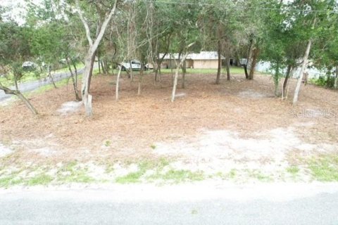 Land in Paisley, Florida № 2386246 - photo 9