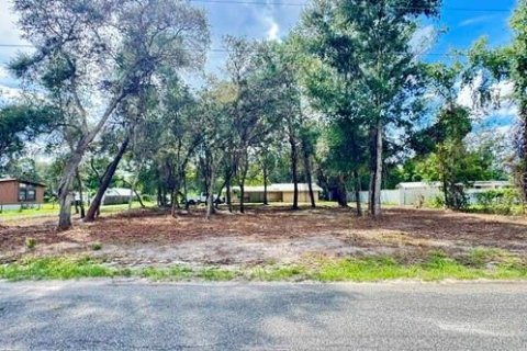 Land in Paisley, Florida № 2386246 - photo 3