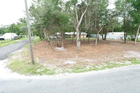 Land in Paisley, Florida № 2386246 - photo 7
