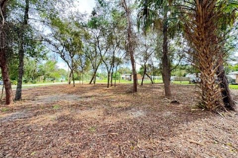 Land in Paisley, Florida № 2386246 - photo 11