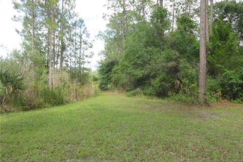 Land in Silver Springs Shores, Florida № 2092294 - photo 6