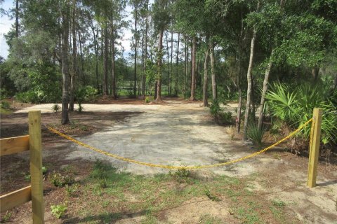 Land in Silver Springs Shores, Florida № 2092294 - photo 25