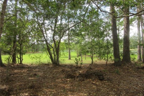 Land in Silver Springs Shores, Florida № 2092294 - photo 5