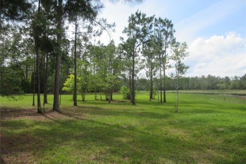 Land in Silver Springs Shores, Florida № 2092294 - photo 4