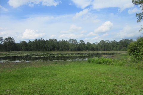 Land in Silver Springs Shores, Florida № 2092294 - photo 2