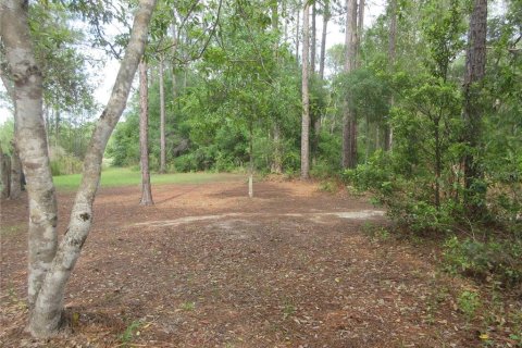 Land in Silver Springs Shores, Florida № 2092294 - photo 17