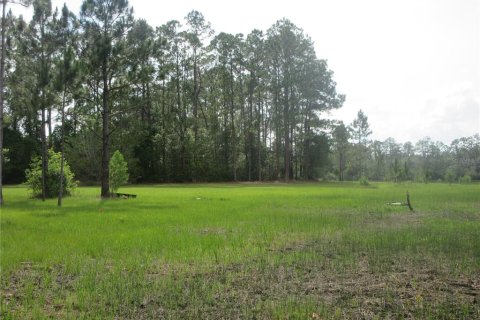 Land in Silver Springs Shores, Florida № 2092294 - photo 7