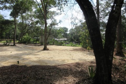 Land in Silver Springs Shores, Florida № 2092294 - photo 29