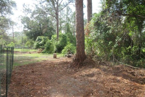 Land in Silver Springs Shores, Florida № 2092294 - photo 15
