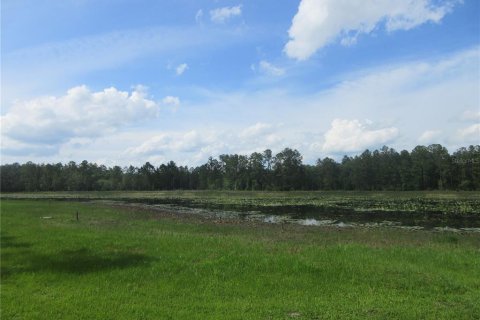 Land in Silver Springs Shores, Florida № 2092294 - photo 3