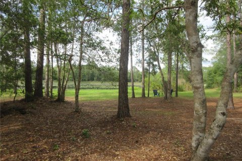 Land in Silver Springs Shores, Florida № 2092294 - photo 18