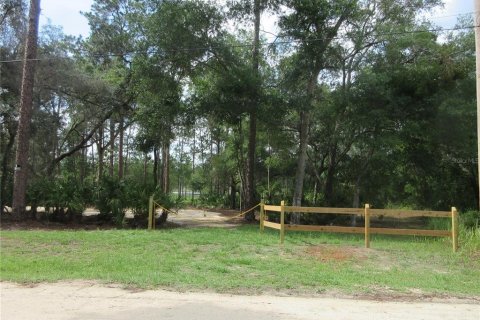 Land in Silver Springs Shores, Florida № 2092294 - photo 19