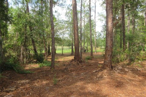 Land in Silver Springs Shores, Florida № 2092294 - photo 16