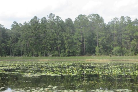 Land in Silver Springs Shores, Florida № 2092294 - photo 12