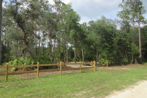 Land in Silver Springs Shores, Florida № 2092294 - photo 22