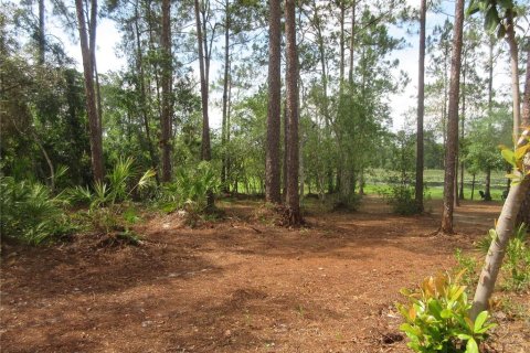Land in Silver Springs Shores, Florida № 2092294 - photo 14