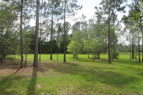 Land in Silver Springs Shores, Florida № 2092294