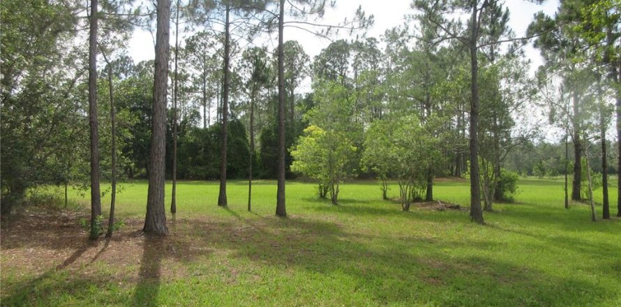 Land in Silver Springs Shores, Florida № 2092294