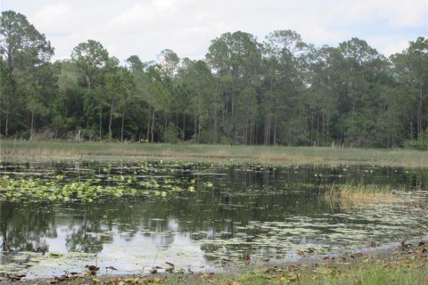 Land in Silver Springs Shores, Florida № 2092294 - photo 13