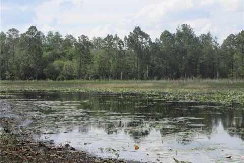 Land in Silver Springs Shores, Florida № 2092294 - photo 11