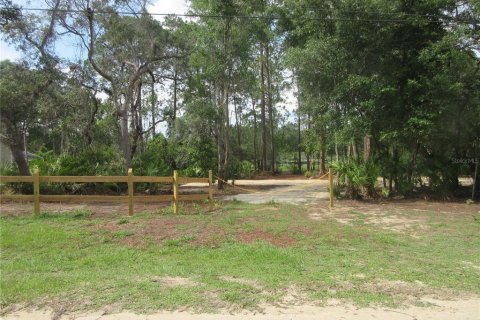 Land in Silver Springs Shores, Florida № 2092294 - photo 20