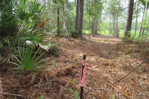 Land in Silver Springs Shores, Florida № 2092294 - photo 30