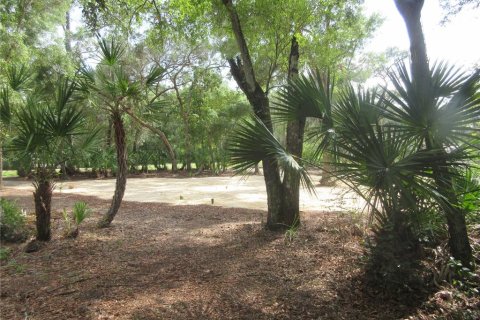 Land in Silver Springs Shores, Florida № 2092294 - photo 28