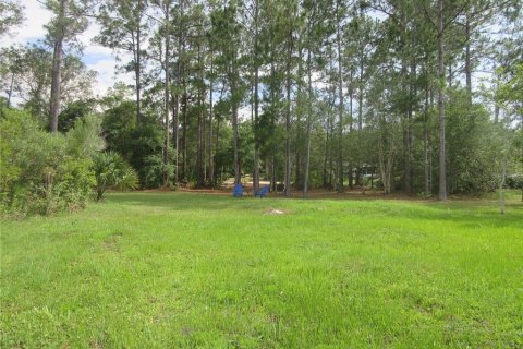 Land in Silver Springs Shores, Florida № 2092294 - photo 8