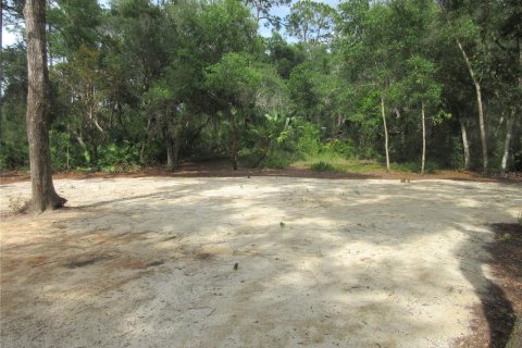 Land in Silver Springs Shores, Florida № 2092294 - photo 26
