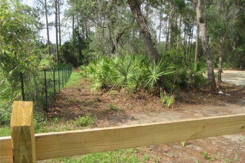 Land in Silver Springs Shores, Florida № 2092294 - photo 21