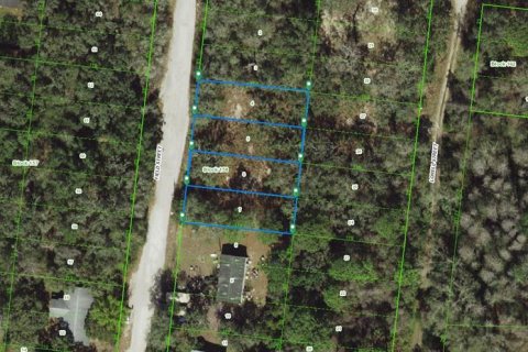Terrain à New Port Richey, Floride № 2161705