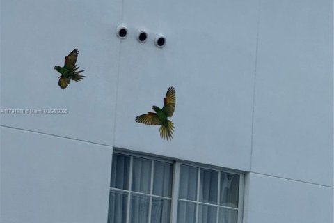 Condo in Miami Beach, Florida, 1 bedroom  № 1980265 - photo 27