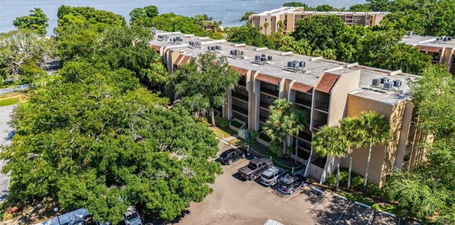 Condo in Tarpon Springs, Florida, 2 bedrooms № 2349615