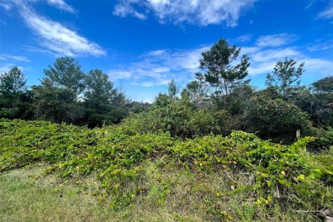 Land in Titusville, Florida № 1741052 - photo 6
