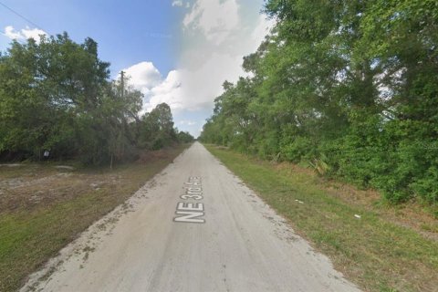 Land in Okeechobee, Florida № 2163374 - photo 5