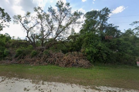 Land in Okeechobee, Florida № 2163374 - photo 2