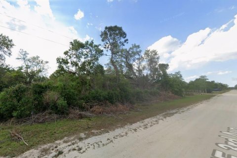 Land in Okeechobee, Florida № 2163374 - photo 3