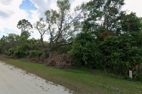 Land in Okeechobee, Florida № 2163374 - photo 4