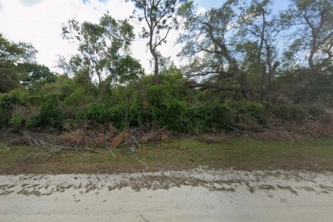 Land in Okeechobee, Florida № 2163374