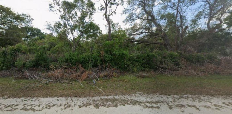 Land in Okeechobee, Florida № 2163374