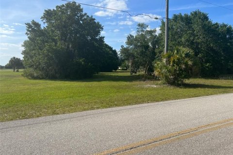 Land in Arcadia, Florida № 625354 - photo 3
