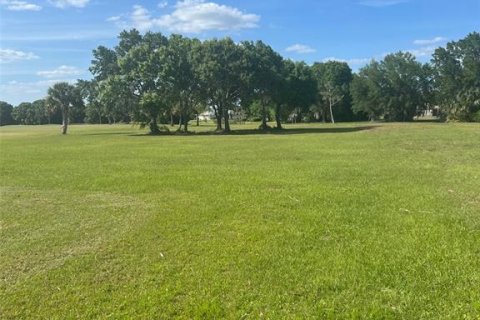 Land in Arcadia, Florida № 625354 - photo 4