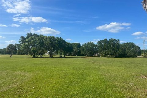 Land in Arcadia, Florida № 625354 - photo 1