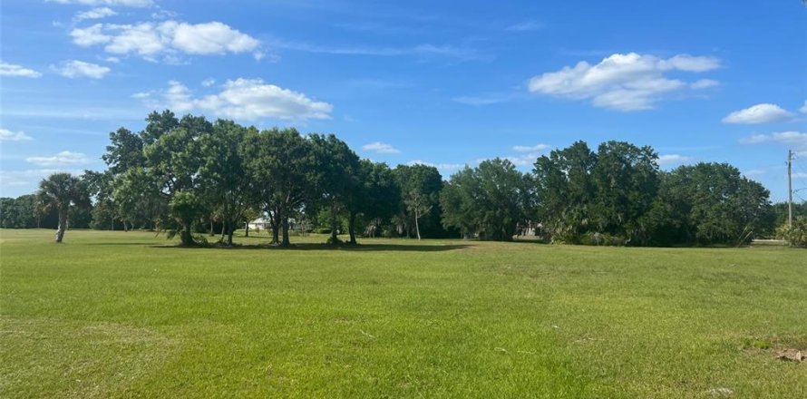Land in Arcadia, Florida № 625354