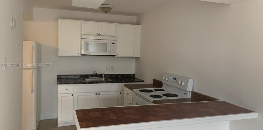 Кондоминиум с 1 спальней в Норт-Майами-Бич, Флорида № 1977633