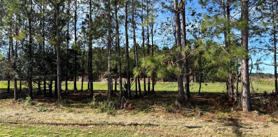 Terreno en Fish Hawk, Florida № 1534680