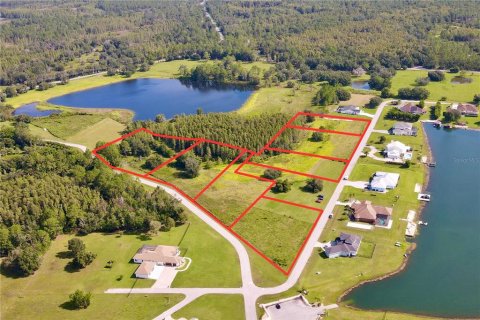Land in Land O' Lakes, Florida № 1901060 - photo 2