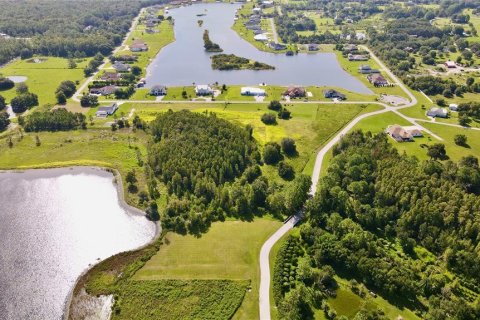 Land in Land O' Lakes, Florida № 1901060 - photo 4