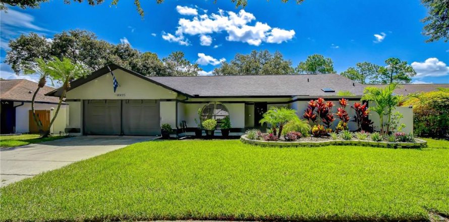 House in Tampa, Florida 4 bedrooms, 209.59 sq.m. № 2198936