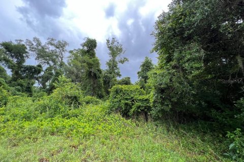 Terrain à vendre à Mayo, Floride № 2313276 - photo 6